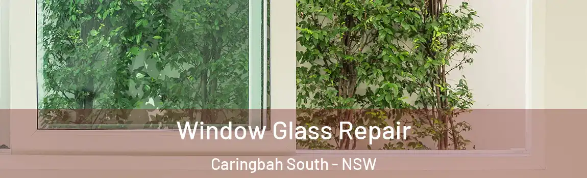  Window Glass Repair Caringbah South - NSW