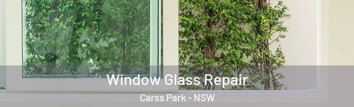  Window Glass Repair Carss Park - NSW