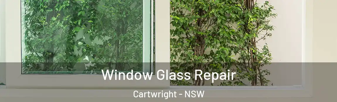  Window Glass Repair Cartwright - NSW