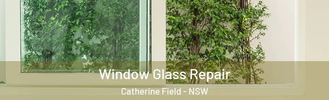  Window Glass Repair Catherine Field - NSW