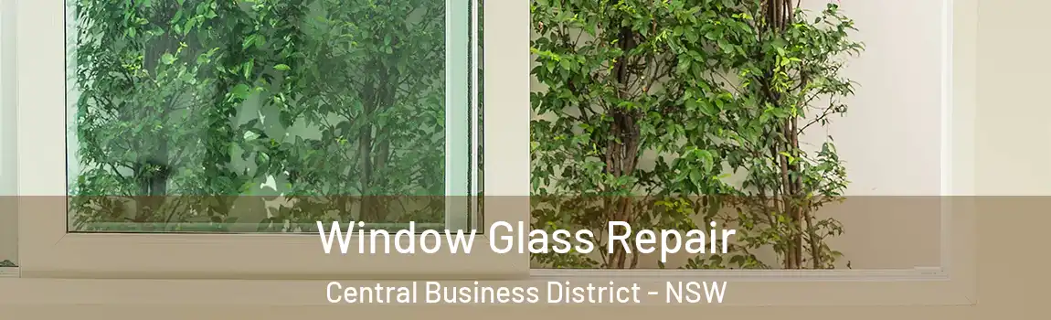  Window Glass Repair Central Business District - NSW