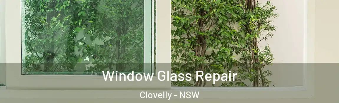  Window Glass Repair Clovelly - NSW