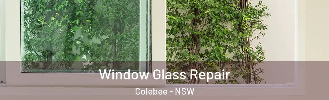  Window Glass Repair Colebee - NSW