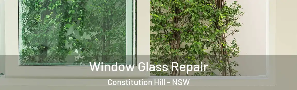  Window Glass Repair Constitution Hill - NSW
