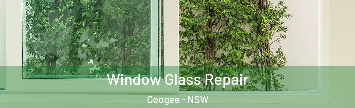  Window Glass Repair Coogee - NSW