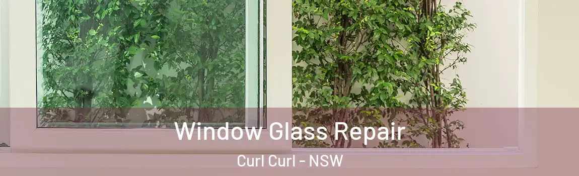  Window Glass Repair Curl Curl - NSW