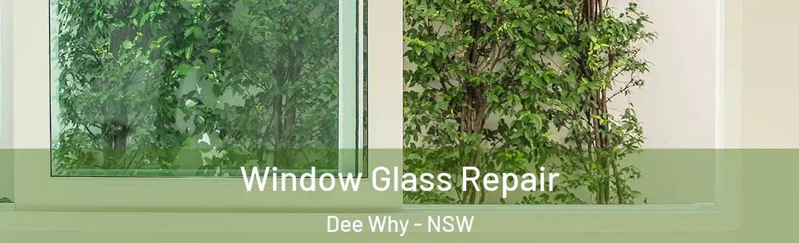  Window Glass Repair Dee Why - NSW