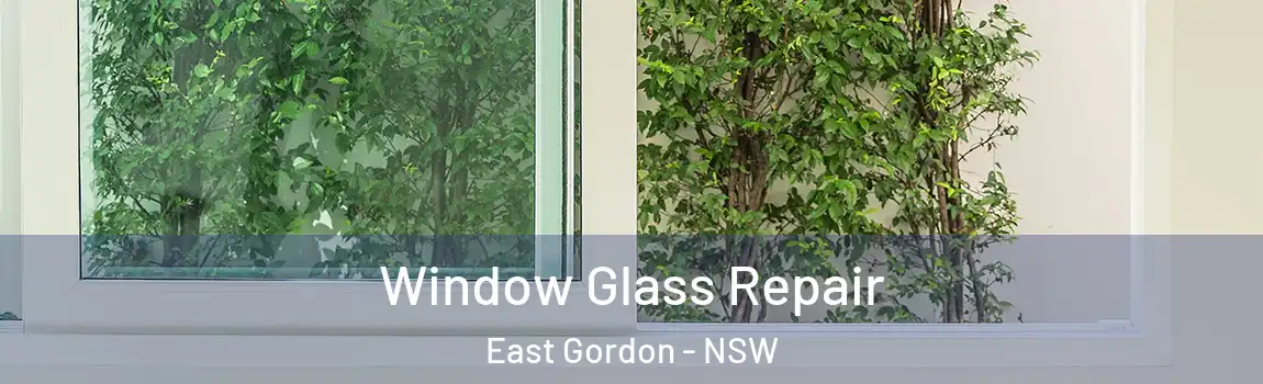  Window Glass Repair East Gordon - NSW