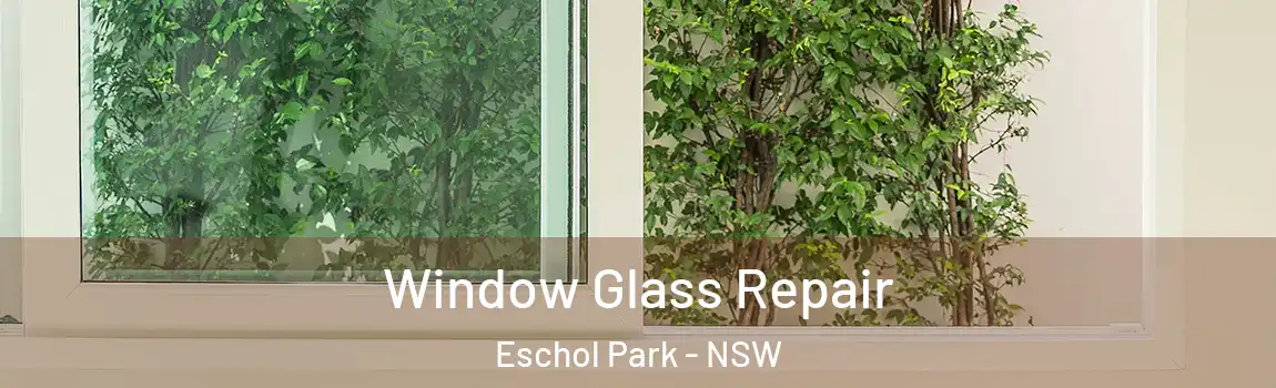  Window Glass Repair Eschol Park - NSW