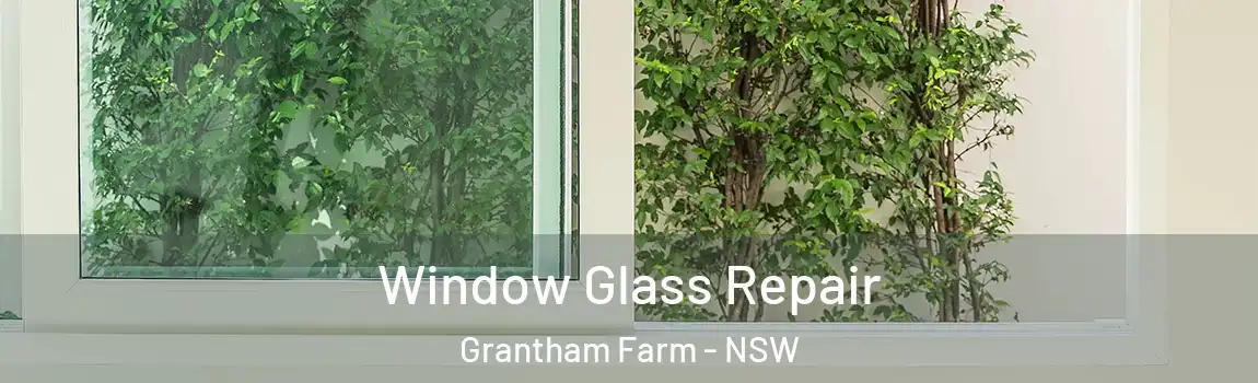  Window Glass Repair Grantham Farm - NSW
