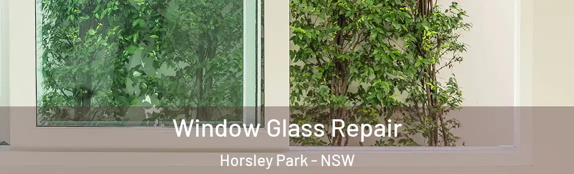  Window Glass Repair Horsley Park - NSW