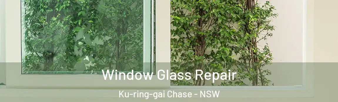  Window Glass Repair Ku-ring-gai Chase - NSW