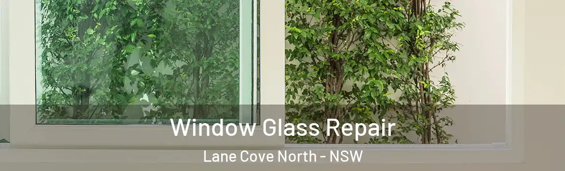  Window Glass Repair Lane Cove North - NSW