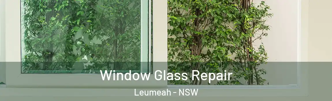  Window Glass Repair Leumeah - NSW