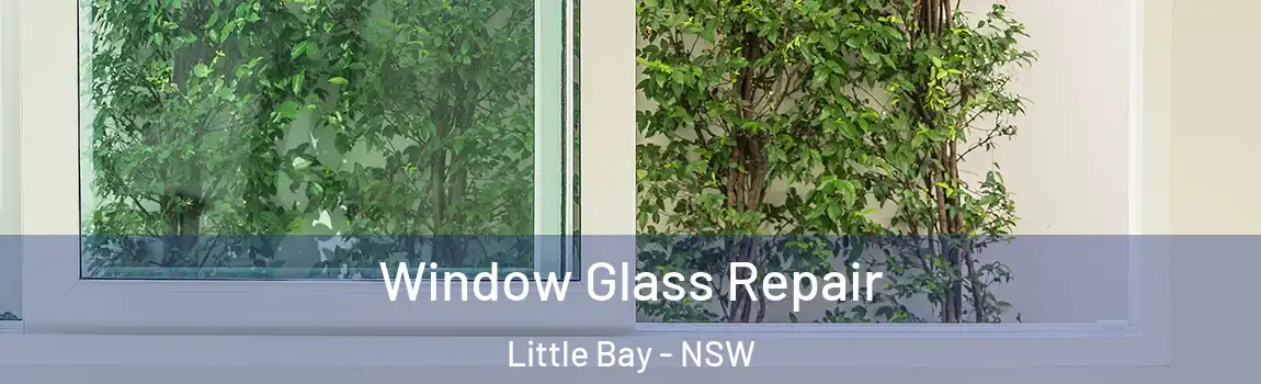  Window Glass Repair Little Bay - NSW