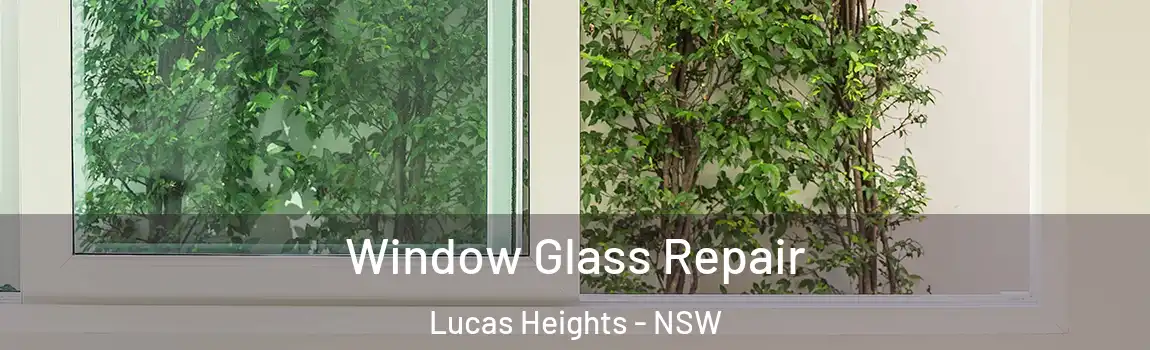  Window Glass Repair Lucas Heights - NSW