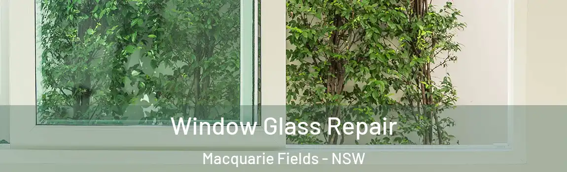  Window Glass Repair Macquarie Fields - NSW