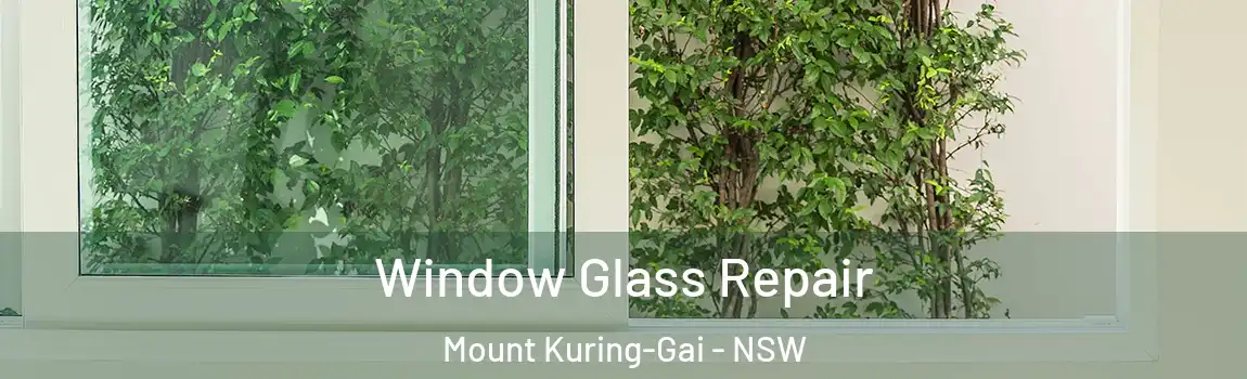  Window Glass Repair Mount Kuring-Gai - NSW