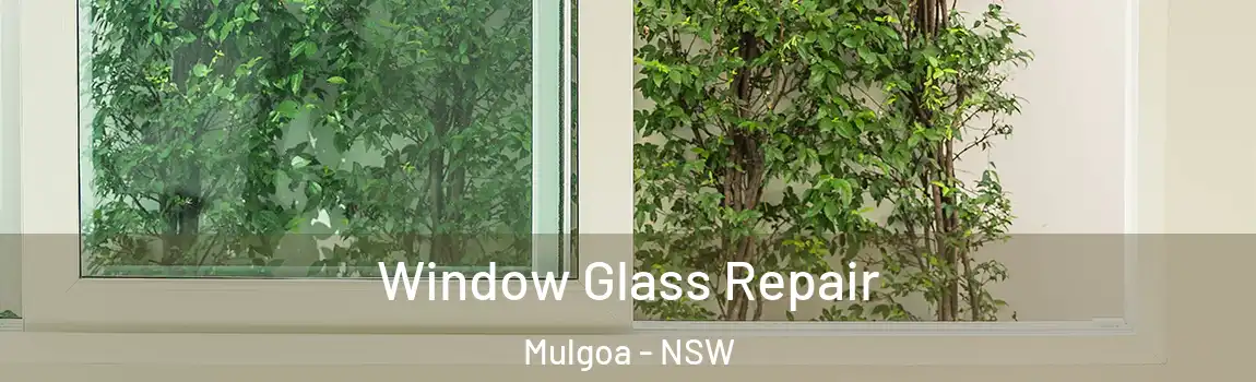  Window Glass Repair Mulgoa - NSW
