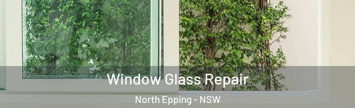  Window Glass Repair North Epping - NSW