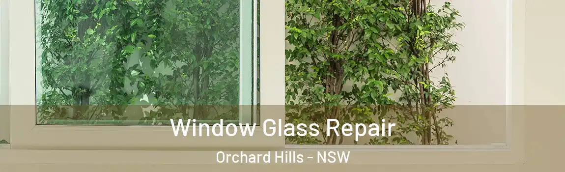  Window Glass Repair Orchard Hills - NSW
