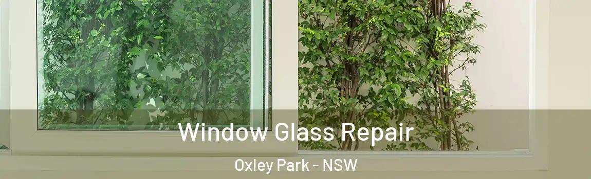  Window Glass Repair Oxley Park - NSW