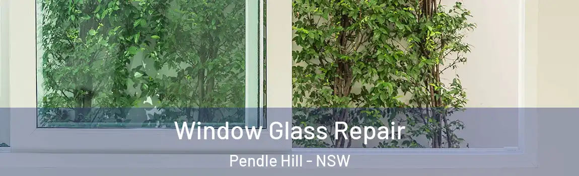  Window Glass Repair Pendle Hill - NSW