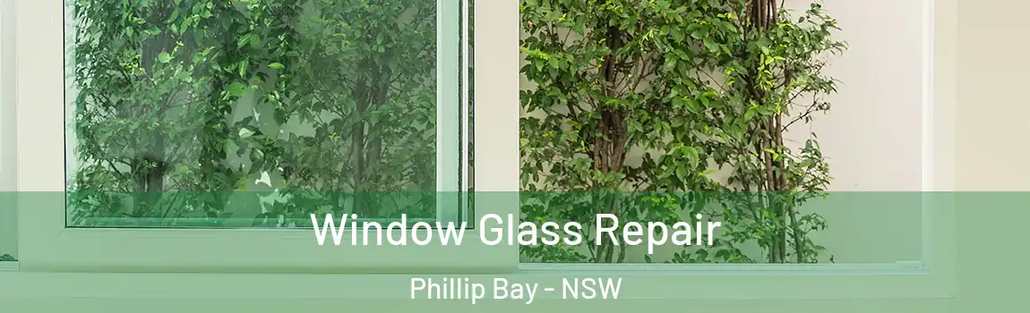  Window Glass Repair Phillip Bay - NSW