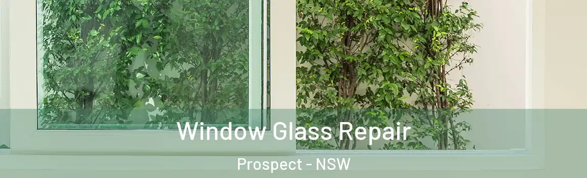  Window Glass Repair Prospect - NSW