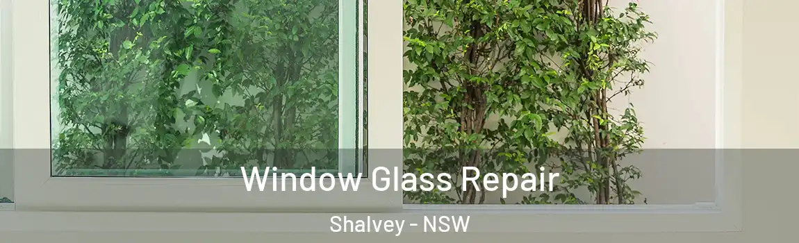  Window Glass Repair Shalvey - NSW