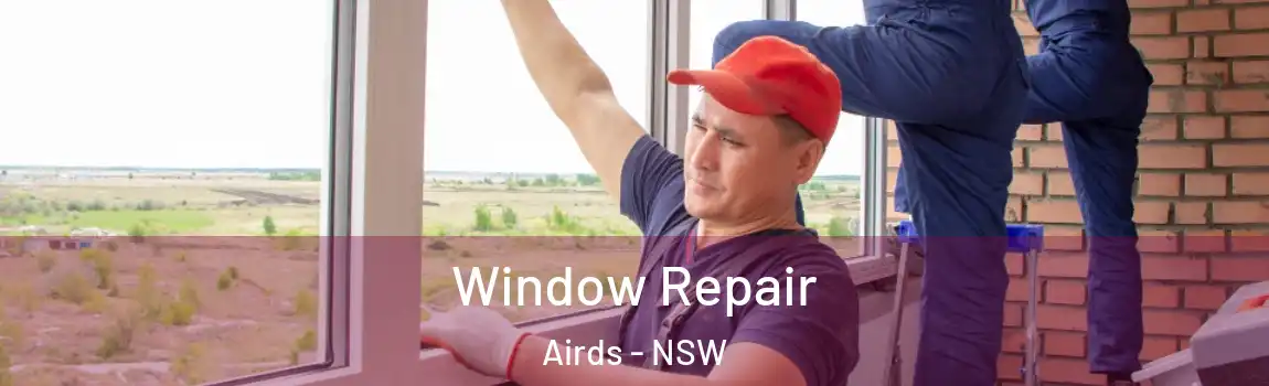  Window Repair Airds - NSW
