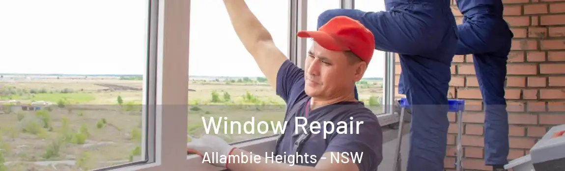  Window Repair Allambie Heights - NSW