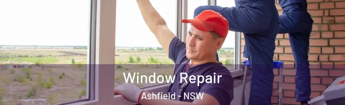  Window Repair Ashfield - NSW