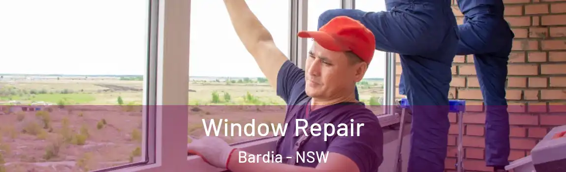  Window Repair Bardia - NSW