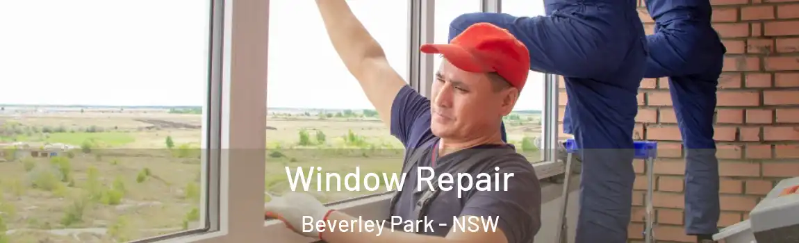  Window Repair Beverley Park - NSW