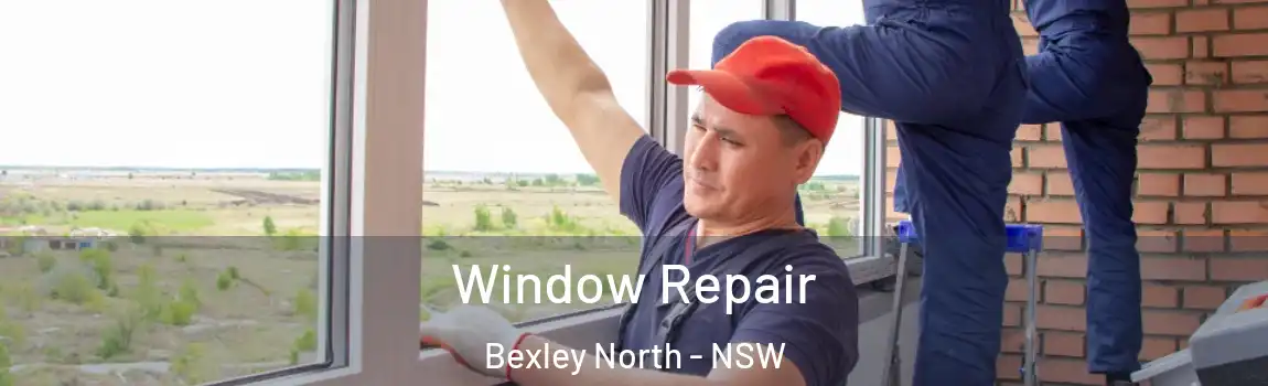  Window Repair Bexley North - NSW