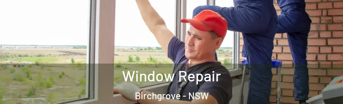  Window Repair Birchgrove - NSW