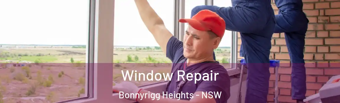  Window Repair Bonnyrigg Heights - NSW