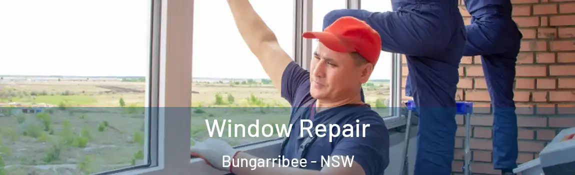  Window Repair Bungarribee - NSW