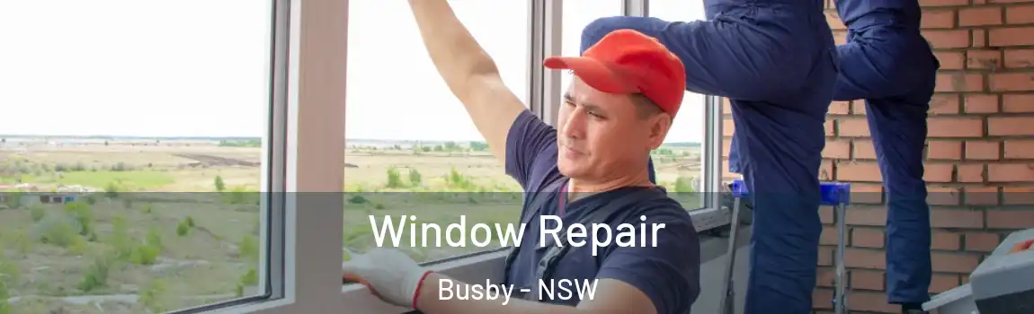  Window Repair Busby - NSW