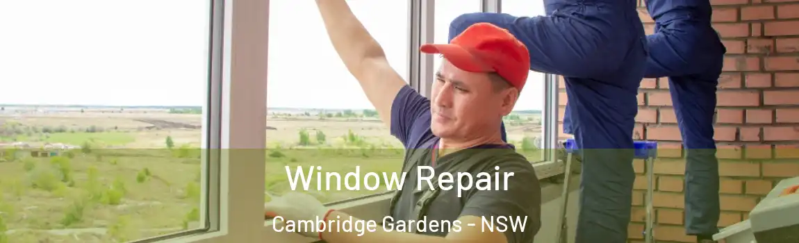  Window Repair Cambridge Gardens - NSW