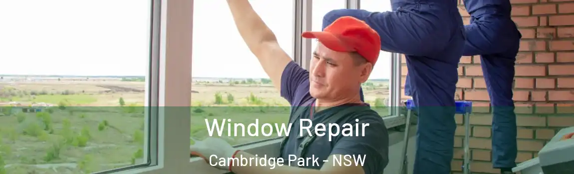  Window Repair Cambridge Park - NSW