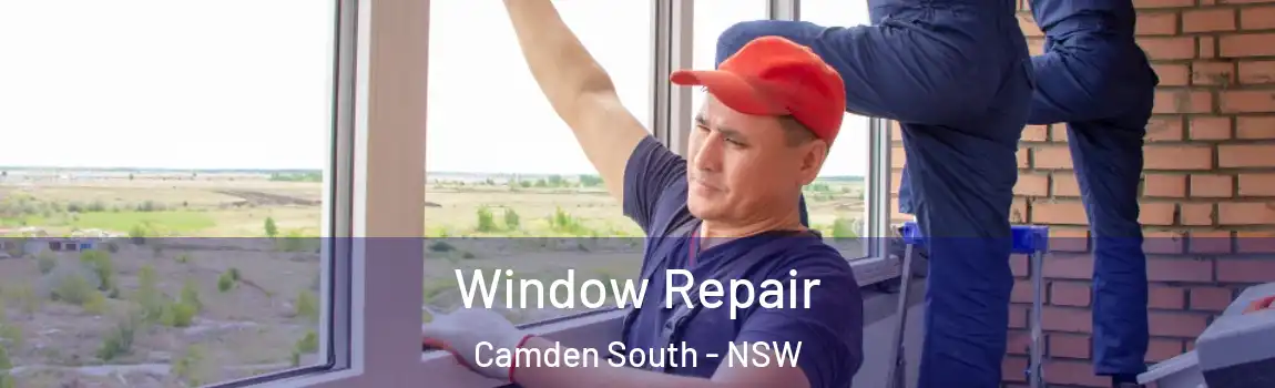  Window Repair Camden South - NSW