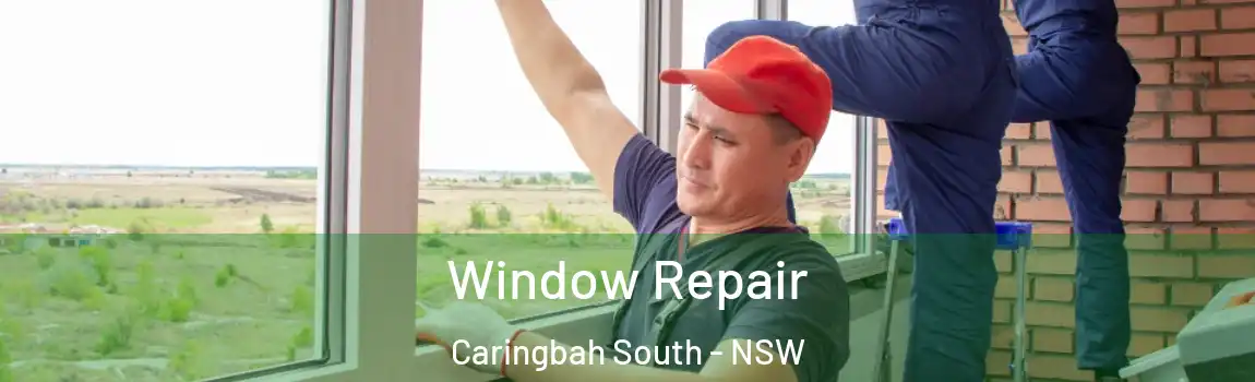  Window Repair Caringbah South - NSW