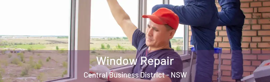  Window Repair Central Business District - NSW