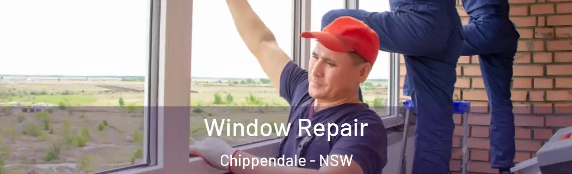  Window Repair Chippendale - NSW