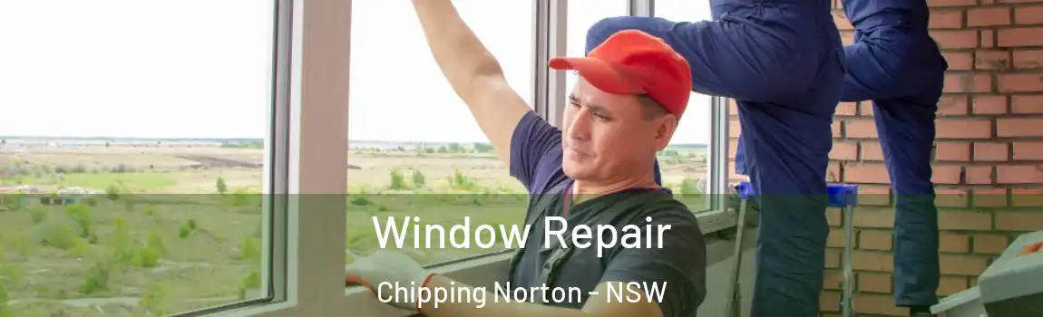  Window Repair Chipping Norton - NSW