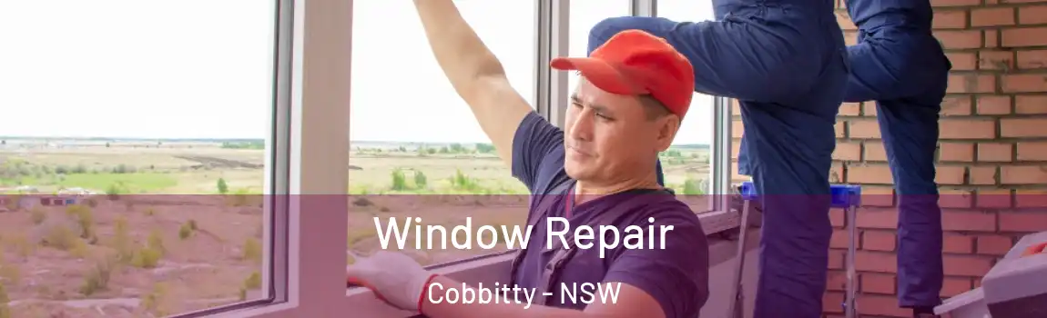  Window Repair Cobbitty - NSW