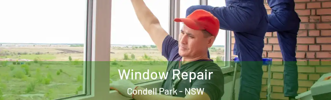  Window Repair Condell Park - NSW