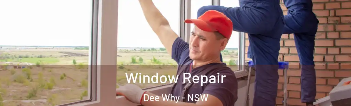  Window Repair Dee Why - NSW